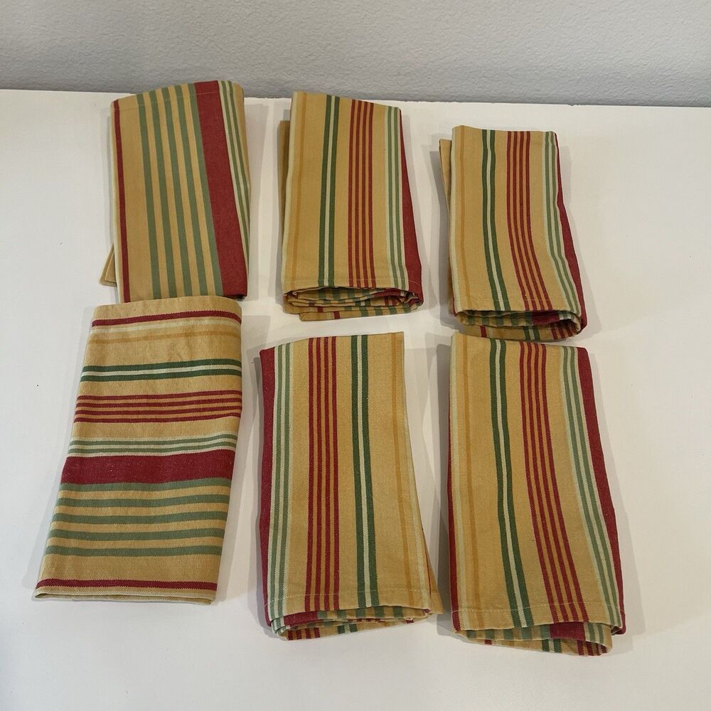 XOCHI Cotton Napkins from India Set of 6 Extra Large 19” by 19 ” Striped
